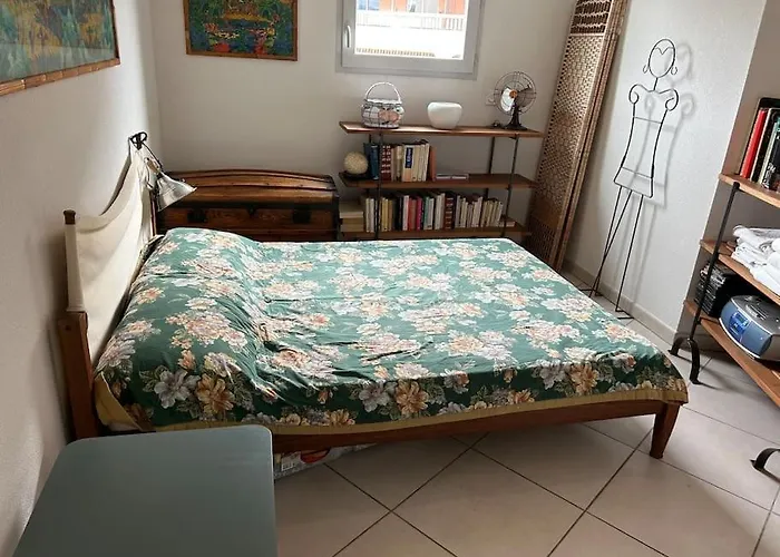 Plein Centre Appartement *